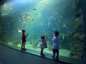 景騰旅行社 查看詳情內容 查看詳情內容