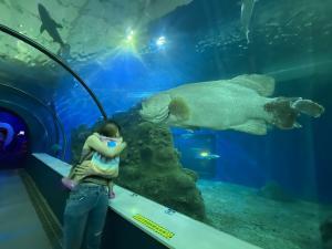 景騰旅行社 查看詳情內容 查看詳情內容