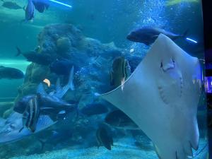 景騰旅行社 查看詳情內容 查看詳情內容