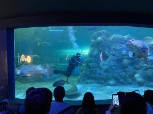 景騰旅行社 查看詳情內容 查看詳情內容