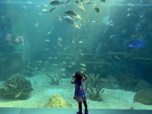 景騰旅行社 查看詳情內容 查看詳情內容