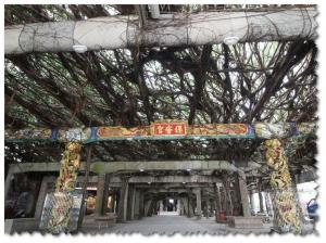 景騰旅行社 查看詳情內容 查看詳情內容