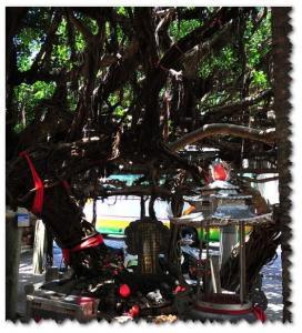 景騰旅行社 查看詳情內容 查看詳情內容