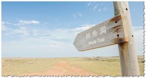 景騰旅行社 查看詳情內容 查看詳情內容