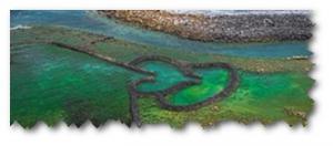 景騰旅行社 查看詳情內容 查看詳情內容