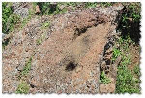 景騰旅行社 查看詳情內容 查看詳情內容