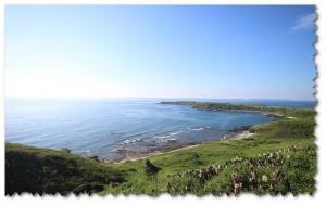 景騰旅行社 查看詳情內容 查看詳情內容