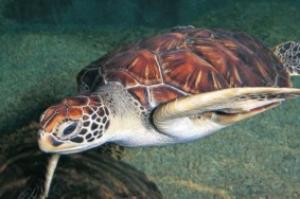 景騰旅行社 查看詳情內容 查看詳情內容