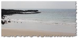 景騰旅行社 查看詳情內容 查看詳情內容